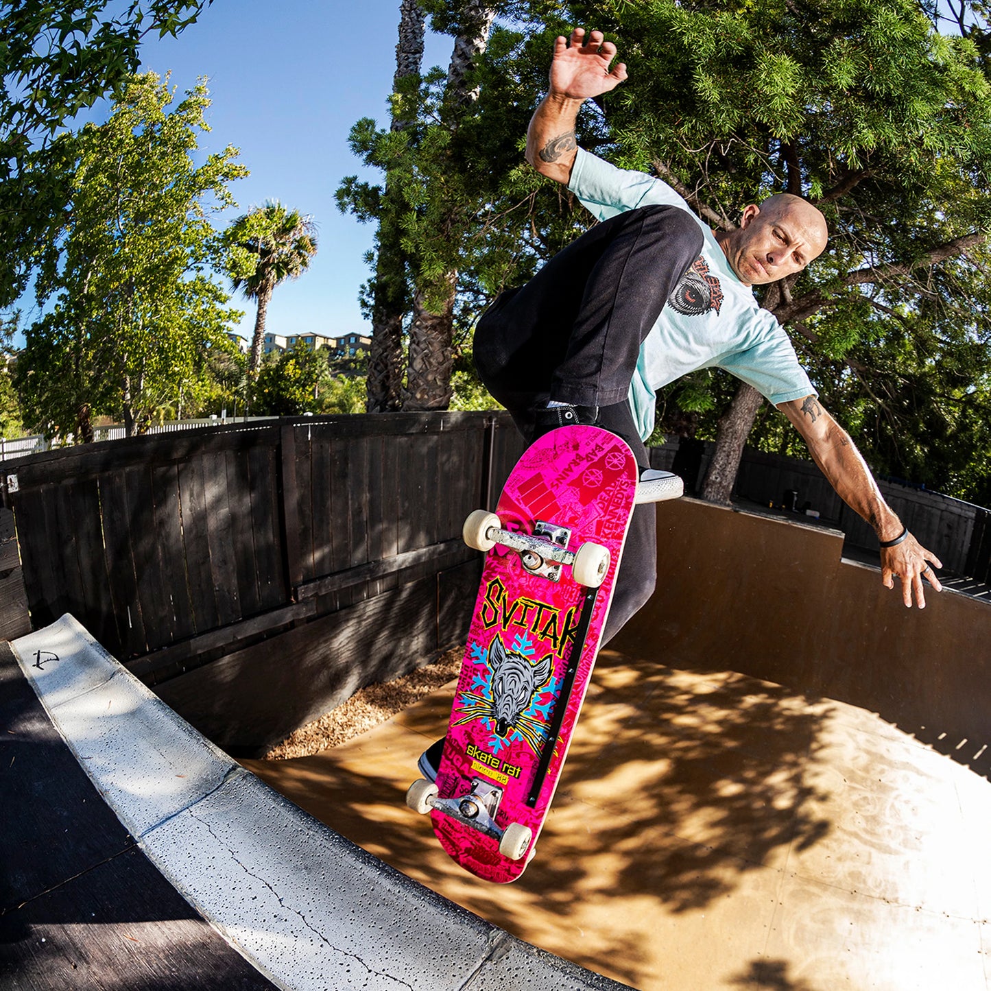 Street Plant - Svitak Skate Rat (8.25) Deck