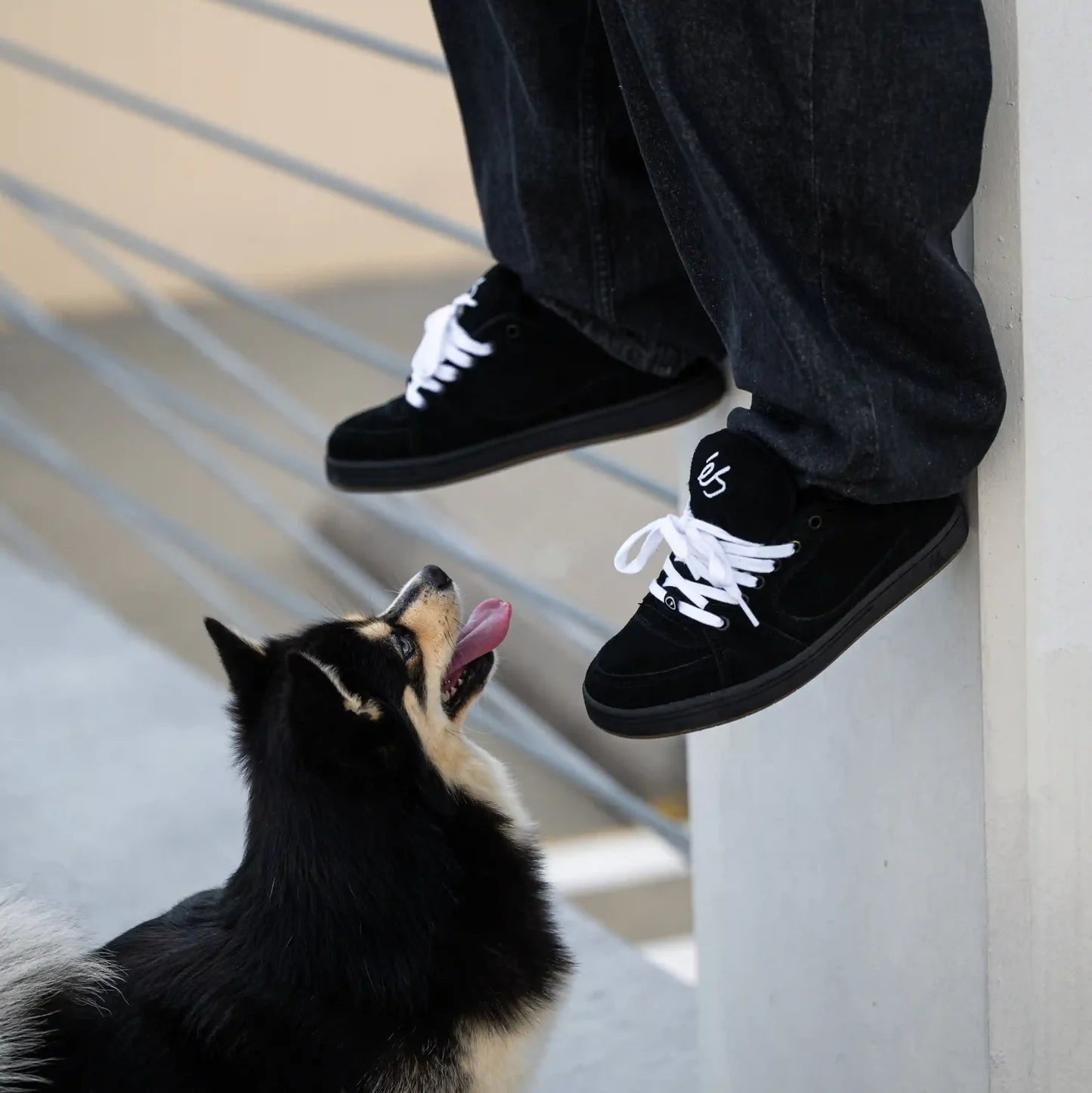 Es Shoes - Accel