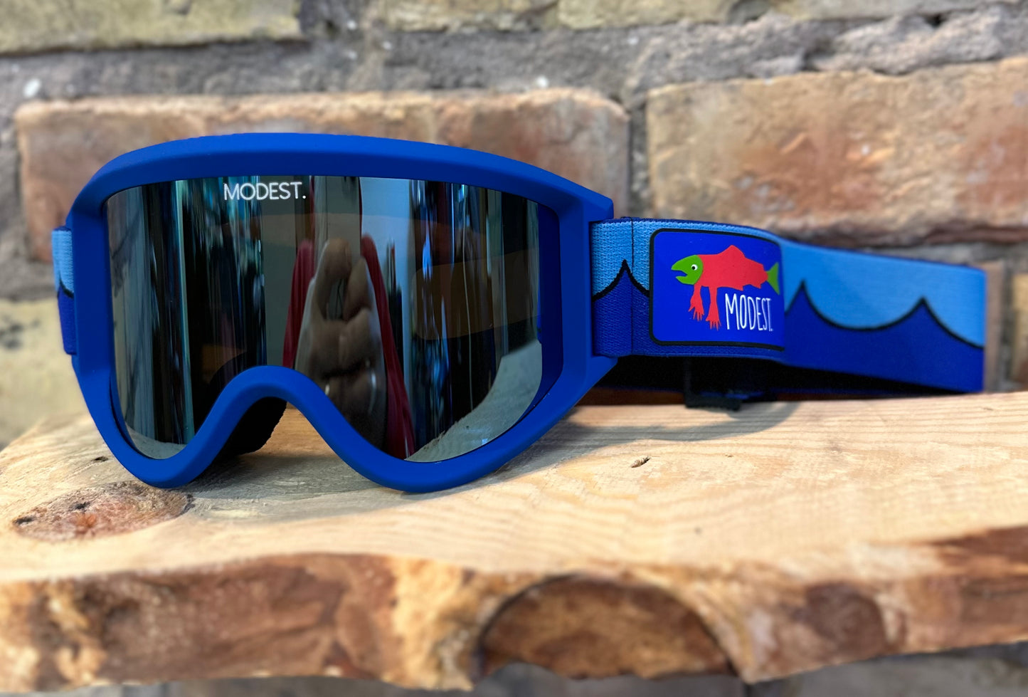 Modest Eyewear - Team Goggles