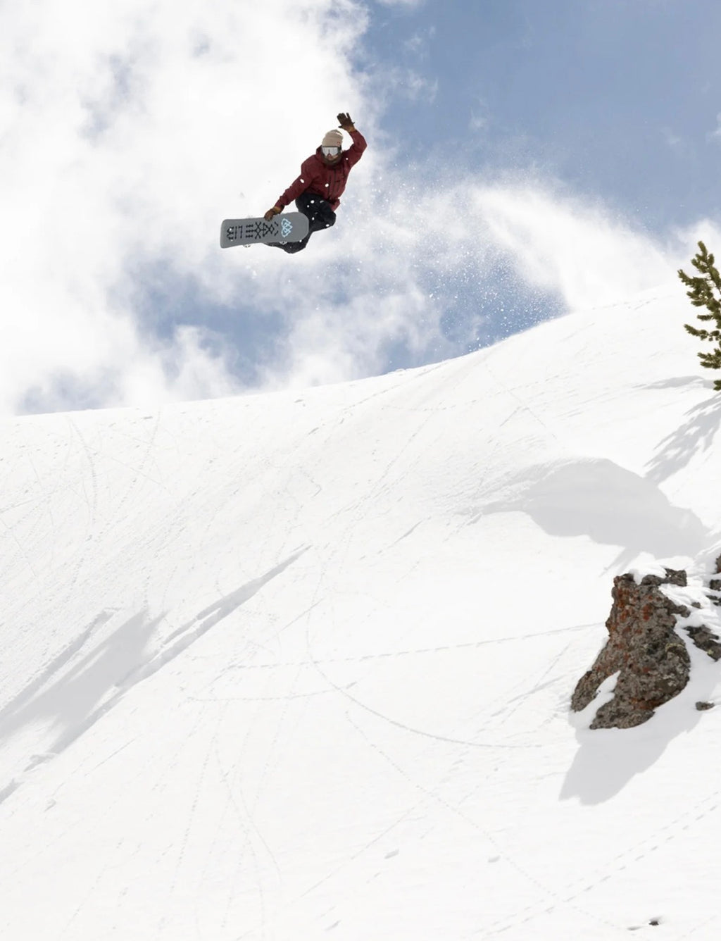 Lib tech Snowboards- T.Rice Pro 26/27