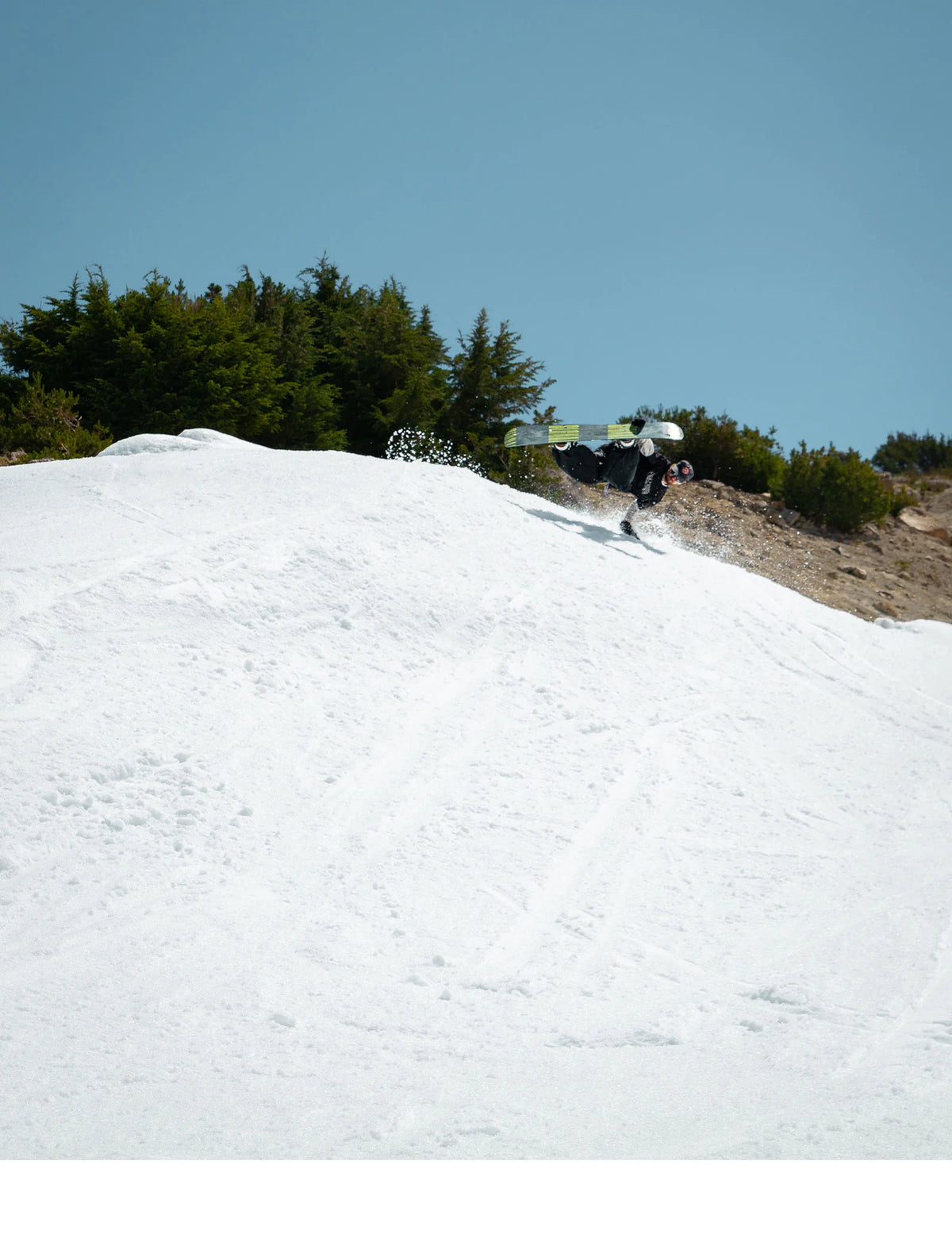 2024 Signal Snowboards -  Park Series