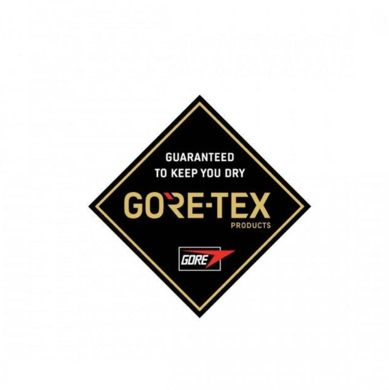 Dakine - Smyth Pure Gore-Tex 2L Jacket
