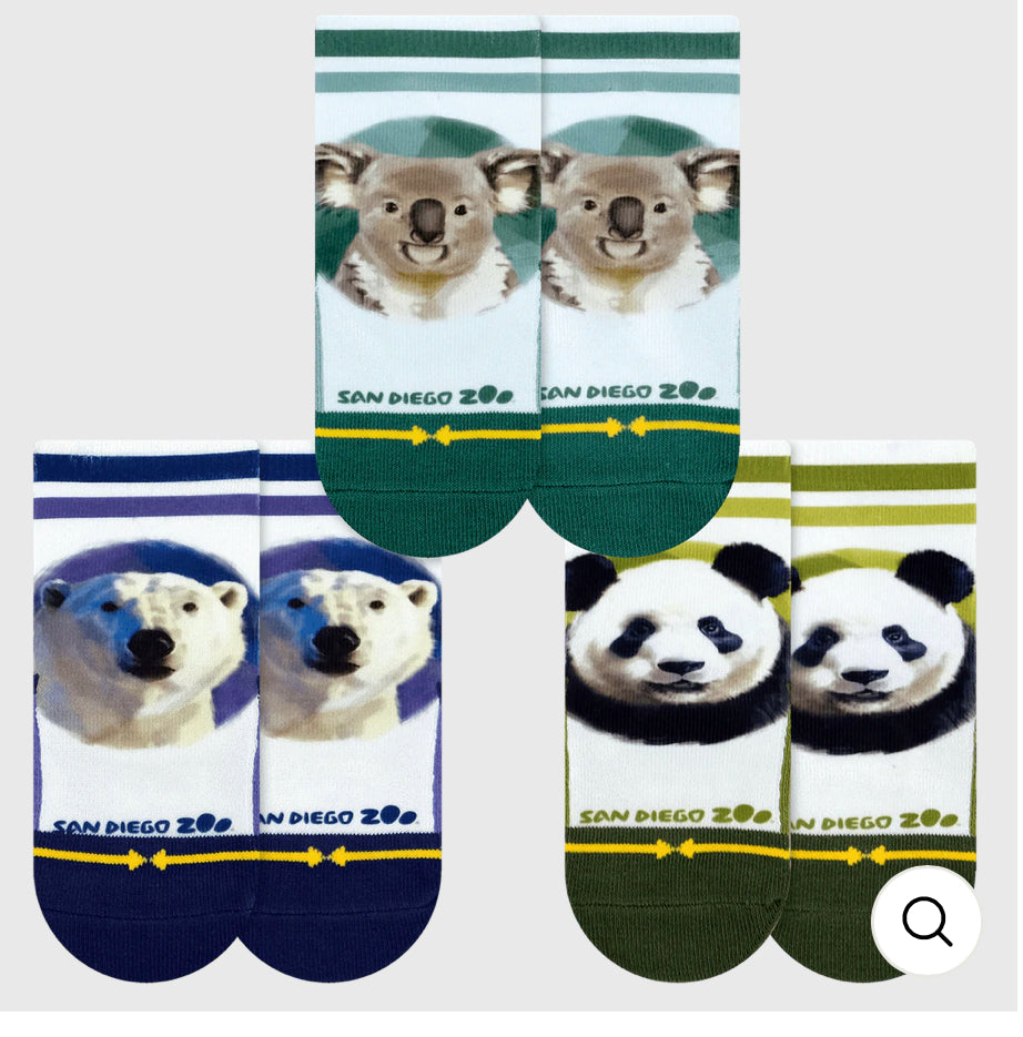 Merge 4 - San Diego Zoo Bears 3 Pack Socks