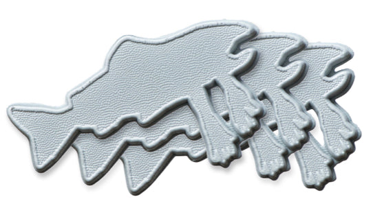 Salmon Arms - Stomp Pad
