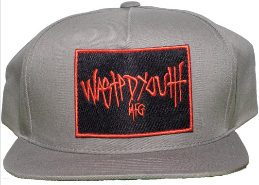 Wasted Youth - MFG Grey Snap Back Hat