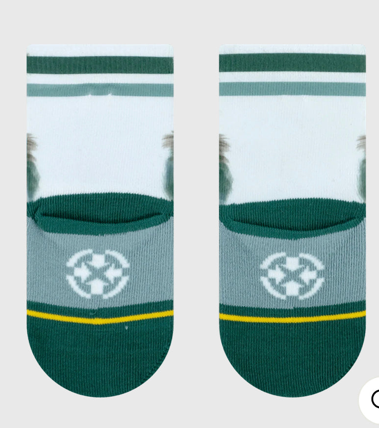 Merge 4 - San Diego Zoo Bears 3 Pack Socks