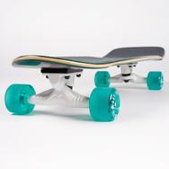 Sector 9 Complete - Mosaic Fat